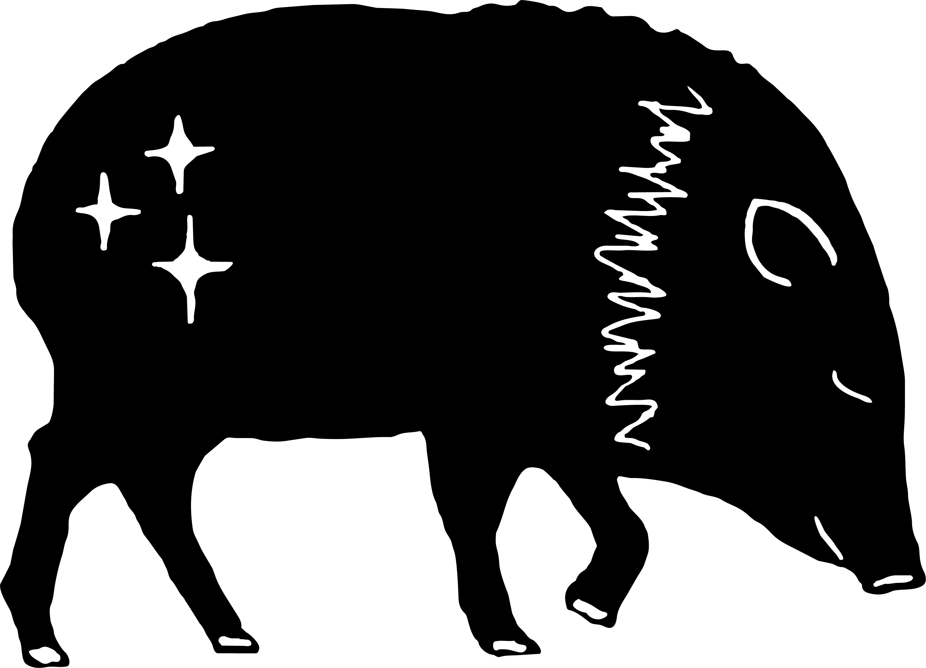 JVLNA Logo